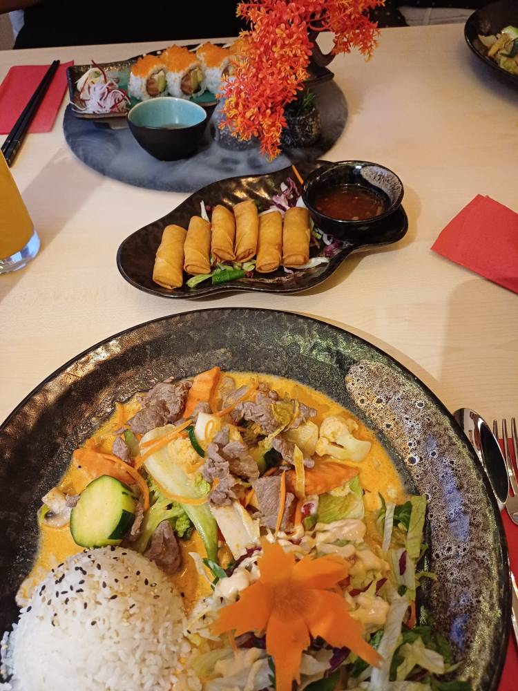 Asiatisches Reisgericht, kleine Frühlingsrollen und Sushi